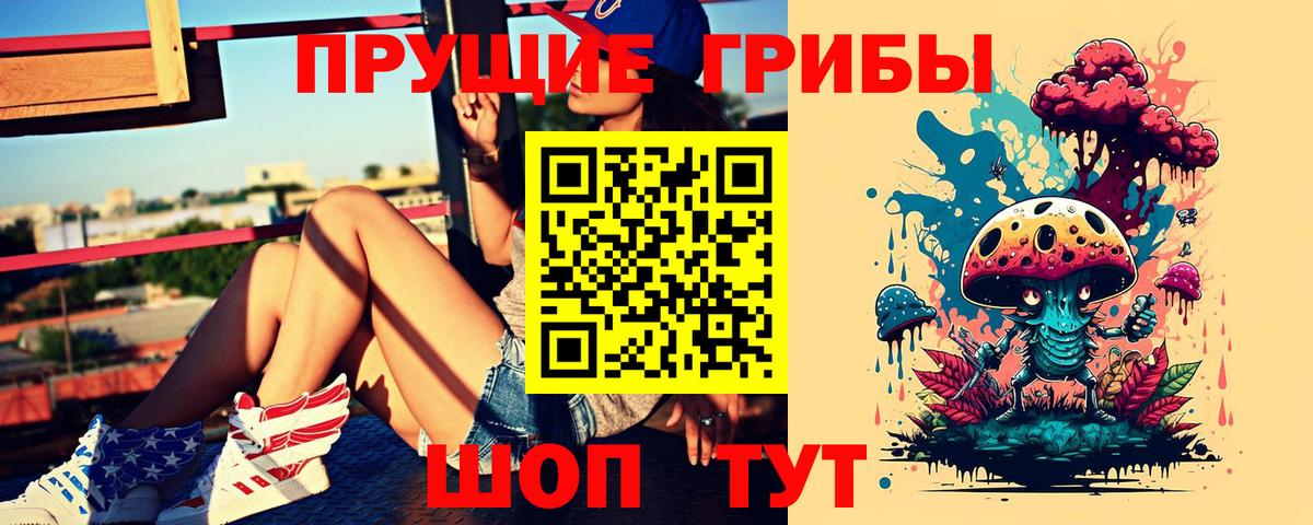 Галлюциногенные грибы Psilocybine cubensis Звенигород